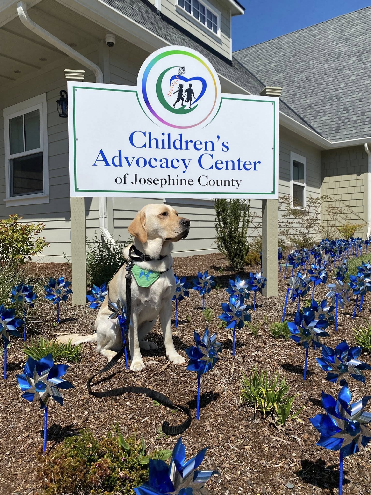 Misty, our facility dog